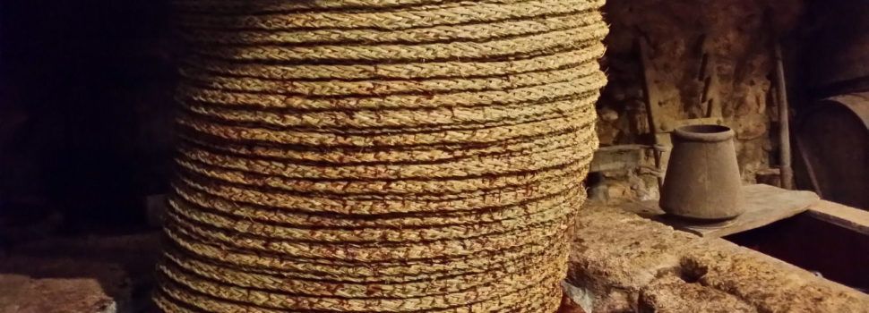 El Molí de l’Oli de Cervera del Maestre celebra les seues primeres jornades el pròxim 11 de desembre de 2021