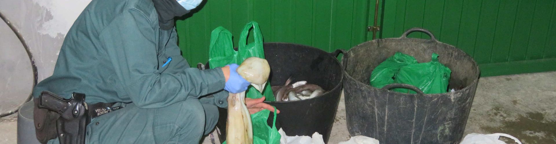 La Guardia Civil interviene en la Ràpita una partida de pescado comercializada fuera de lonja