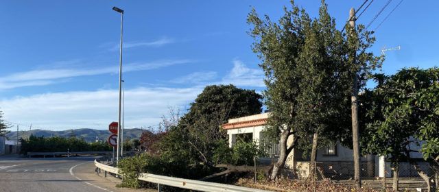 Diverses incidències a Benicarló pel fort vent