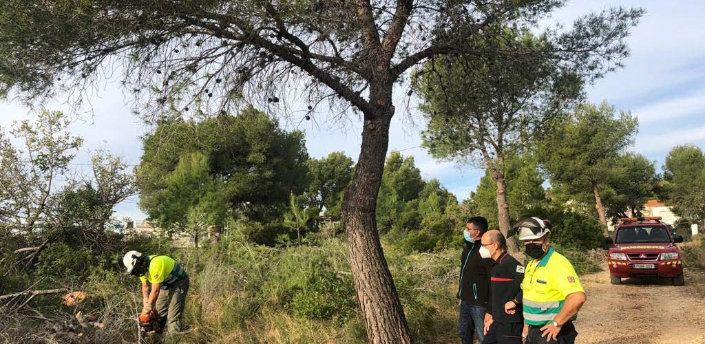 L’Ajuntament d’Alcalà-Alcossebre actualitza el Pla de Prevenció d’Incendis i el Pla Local de Cremes