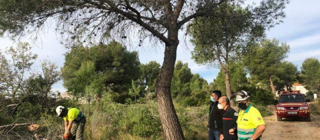L’Ajuntament d’Alcalà-Alcossebre actualitza el Pla de Prevenció d’Incendis i el Pla Local de Cremes