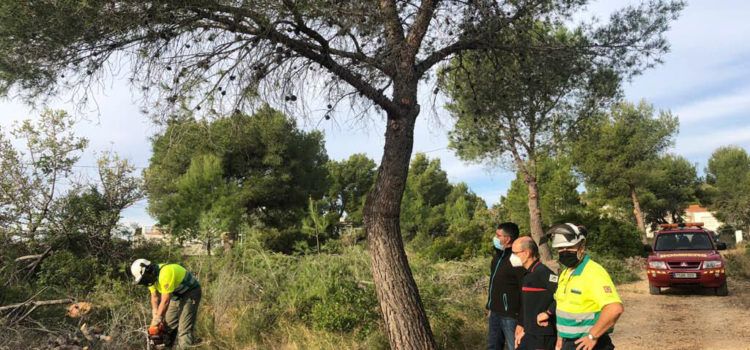 L’Ajuntament d’Alcalà-Alcossebre actualitza el Pla de Prevenció d’Incendis i el Pla Local de Cremes