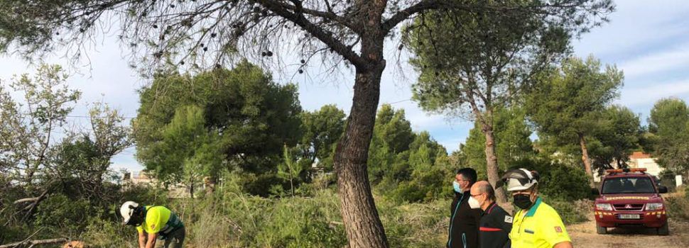 L’Ajuntament d’Alcalà-Alcossebre actualitza el Pla de Prevenció d’Incendis i el Pla Local de Cremes