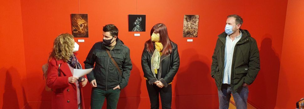 Exposició Lliga Fotogràfica de l’Associació de Fotògrafs de Vinaròs
