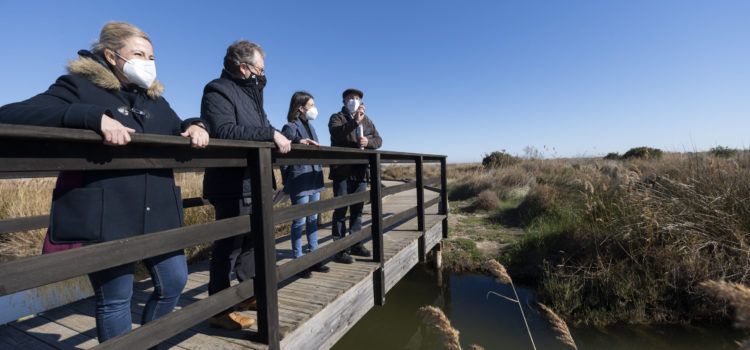 Un estudi de la Diputació realitzat pel Grup Au detecta 41 espècies diferents d’ocells en les marjals de la província