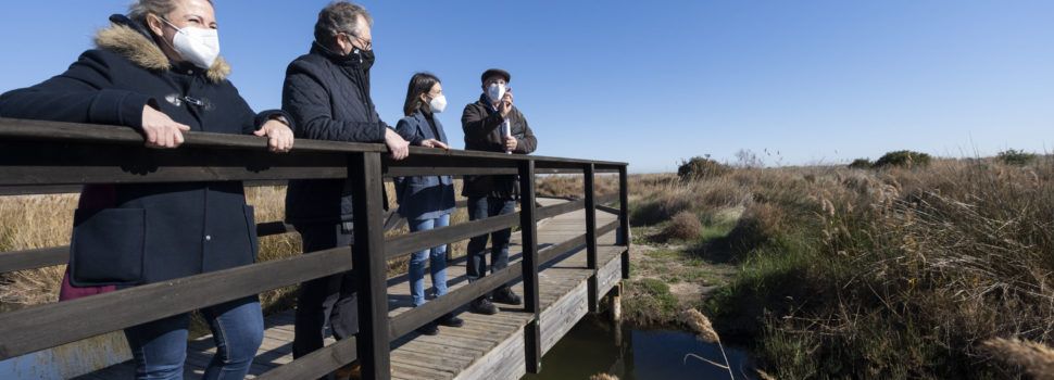 Un estudi de la Diputació realitzat pel Grup Au detecta 41 espècies diferents d’ocells en les marjals de la província