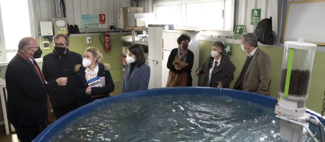 La Diputació s’alia amb l’Institut d’Aqüicultura Torre de la Sal per celebrar els 50 anys d’investigació científica marina a Cabanes