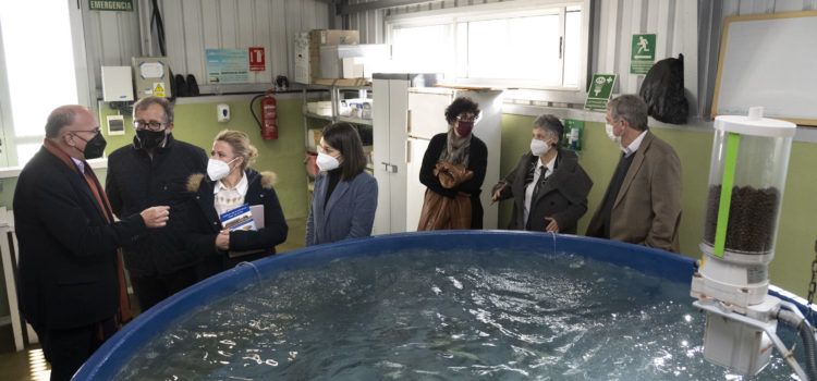 La Diputació s’alia amb l’Institut d’Aqüicultura Torre de la Sal per celebrar els 50 anys d’investigació científica marina a Cabanes