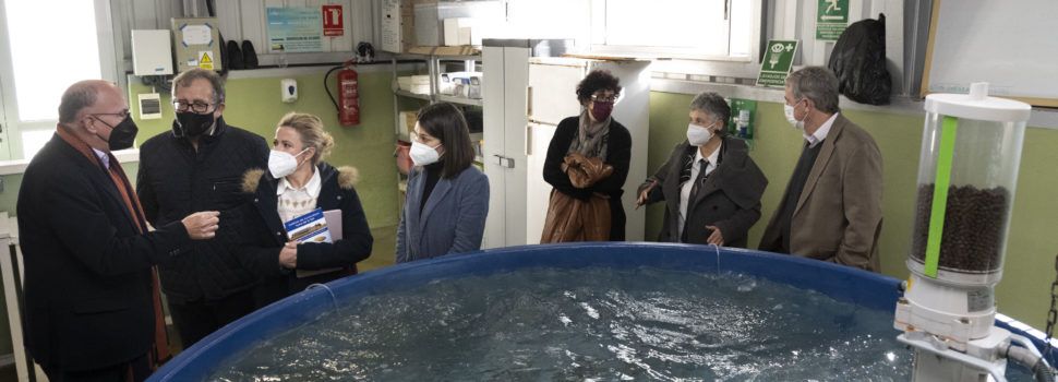 La Diputació s’alia amb l’Institut d’Aqüicultura Torre de la Sal per celebrar els 50 anys d’investigació científica marina a Cabanes