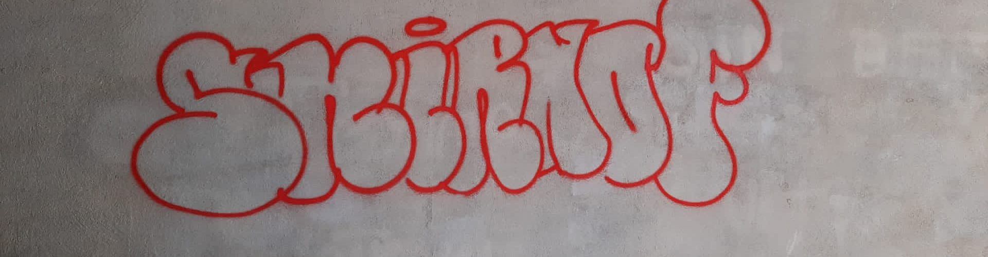 Augment d’actes vandàlics a la Sénia
