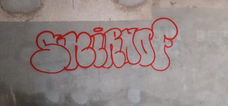 Augment d’actes vandàlics a la Sénia