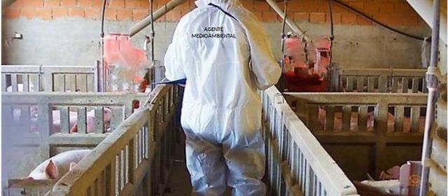 Anàlisi de la ganadería intensiva y problemática medioambiental en el norte de la provincia de Castelló