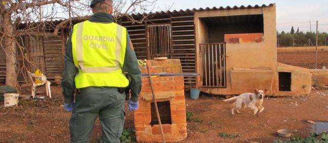 La Guardia Civil investiga un presunto delito de maltrato animal en l’Aldea
