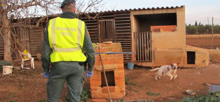 La Guardia Civil investiga un presunto delito de maltrato animal en l’Aldea