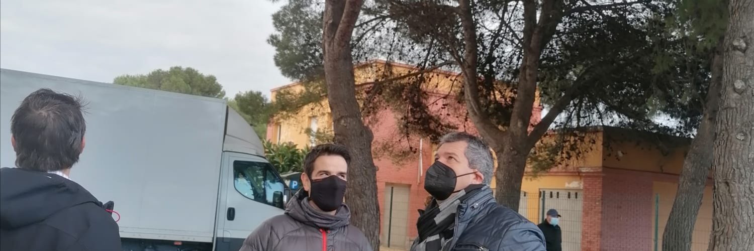 Peníscola s’activa per a desplaçar les masses d’ocells en l’arbratge del nucli urbà cap a zones verdes pròximes