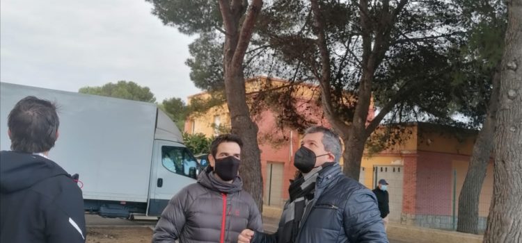 Peníscola s’activa per a desplaçar les masses d’ocells en l’arbratge del nucli urbà cap a zones verdes pròximes