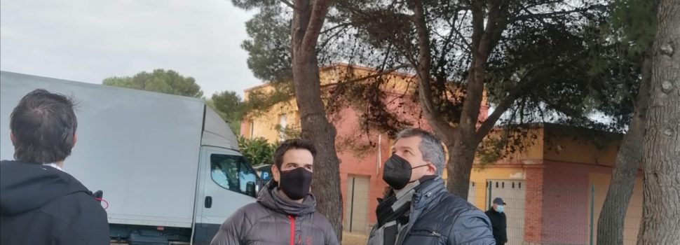 Peníscola s’activa per a desplaçar les masses d’ocells en l’arbratge del nucli urbà cap a zones verdes pròximes