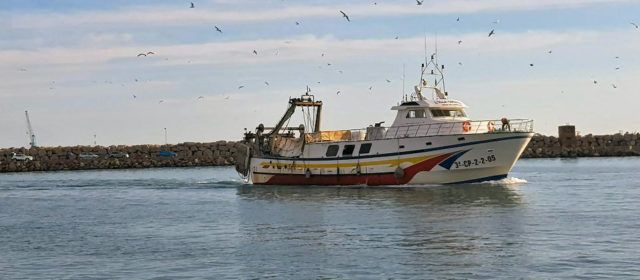 COINCOPESCA avala la decisió de la Generalitat de publicar un calendari de parades biològiques que permetrà als mariners cobrar l’atur