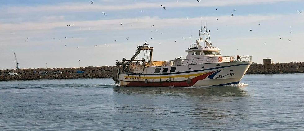 COINCOPESCA avala la decisió  de la Generalitat de publicar un calendari de parades biològiques que permetrà als mariners cobrar l’atur