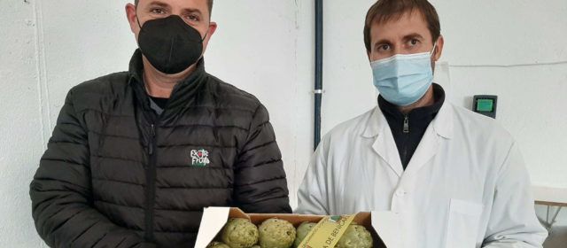 Exotic Fruits Azahar se incorpora al Consejo Regulador de la D.O.P. “Alcachofa de Benicarló”