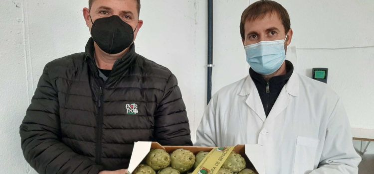 Exotic Fruits Azahar se incorpora al Consejo Regulador de la D.O.P. “Alcachofa de Benicarló”