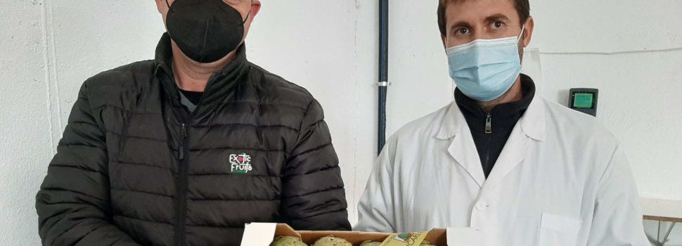 Exotic Fruits Azahar se incorpora al Consejo Regulador de la D.O.P. “Alcachofa de Benicarló”