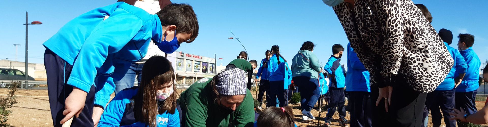 270 escolars benicarlandos participaren en el Dia de l’Arbre