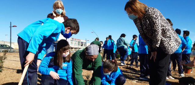 270 escolars benicarlandos participaren en el Dia de l’Arbre