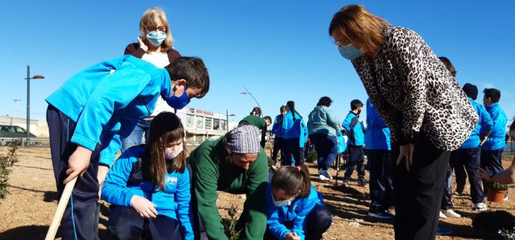 270 escolars benicarlandos participaren en el Dia de l’Arbre