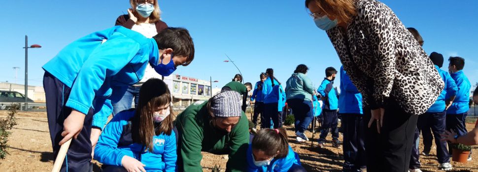270 escolars benicarlandos participaren en el Dia de l’Arbre
