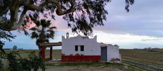 Fotos: Capvespre d’hivern al Delta de l’Ebre (i II)