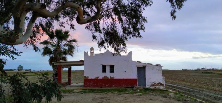 Fotos: Capvespre d’hivern al Delta de l’Ebre (i II)