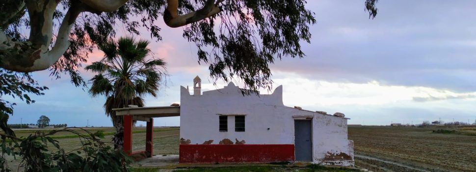 Fotos: Capvespre d’hivern al Delta de l’Ebre (i II)