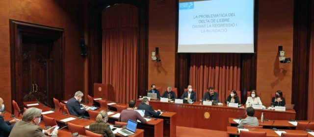 Fotos: Comissió d’Estudi sobre la Protecció del Delta de l’Ebre