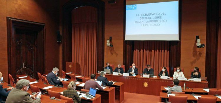 Fotos: Comissió d’Estudi sobre la Protecció del Delta de l’Ebre