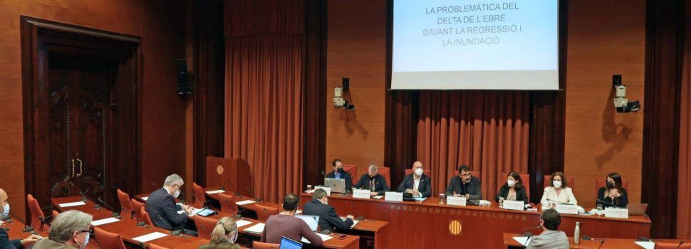 Fotos: Comissió d’Estudi sobre la Protecció del Delta de l’Ebre