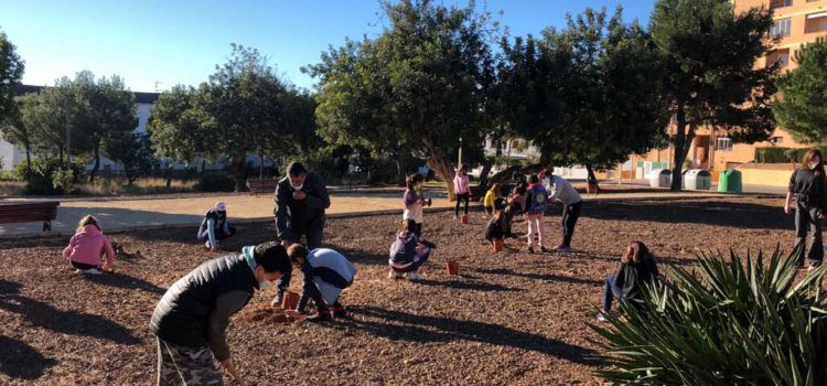 Alcalà-Alcossebre celebra el Dia de l’Arbre amb la plantació de 480 exemplars