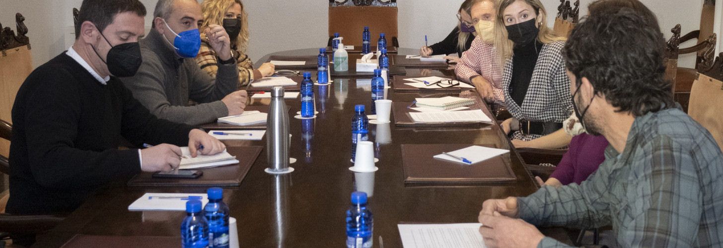 La Diputació sol·licitarà que la Generalitat escometa una adequada ordenació de les infraestructures fotovoltaiques que evite greus afeccions al territori