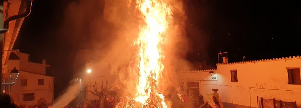 Fotos de la festa de Sant Antoni a Vallibona