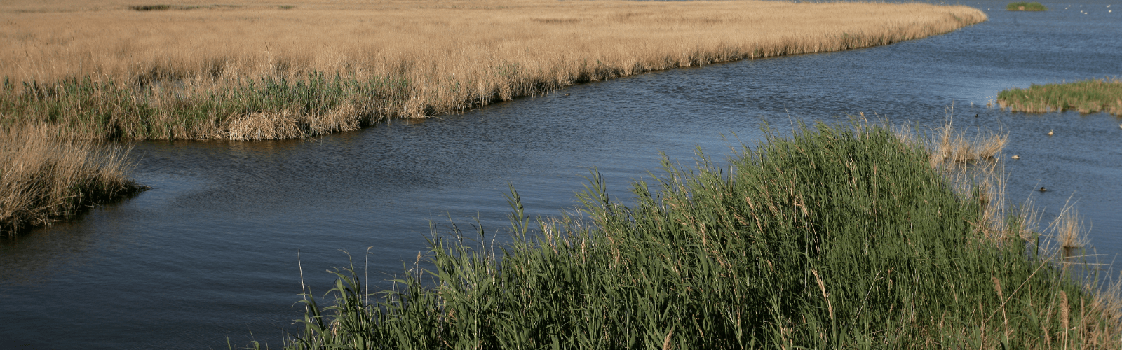 El Ministerio aprueba la evaluación ambiental para reubicar arenas en el Delta del Ebro