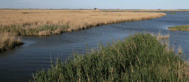 El Ministerio aprueba la evaluación ambiental para reubicar arenas en el Delta del Ebro