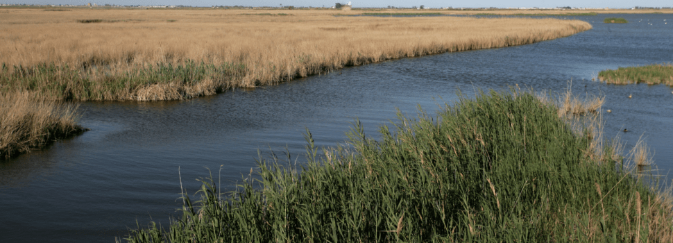 El Ministerio aprueba la evaluación ambiental para reubicar arenas en el Delta del Ebro