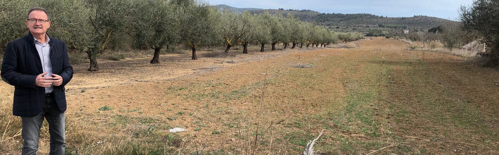 Alcalà-Alcossebre demana a la Generalitat Valenciana major celeritat per donar llum verda al Pla Especial de Sòl del bulevard entre els dos nuclis