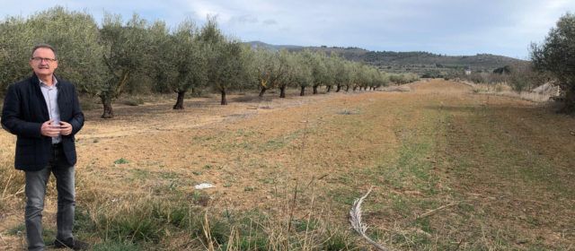 Alcalà-Alcossebre demana a la Generalitat Valenciana major celeritat per donar llum verda al Pla Especial de Sòl del bulevard entre els dos nuclis