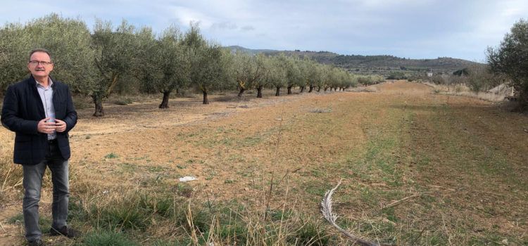 Alcalà-Alcossebre demana a la Generalitat Valenciana major celeritat per donar llum verda al Pla Especial de Sòl del bulevard entre els dos nuclis