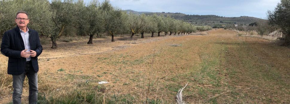 Alcalà-Alcossebre demana a la Generalitat Valenciana major celeritat per donar llum verda al Pla Especial de Sòl del bulevard entre els dos nuclis