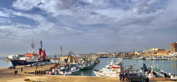Europarlamentarios, en defensa de la pesca de arrastre española