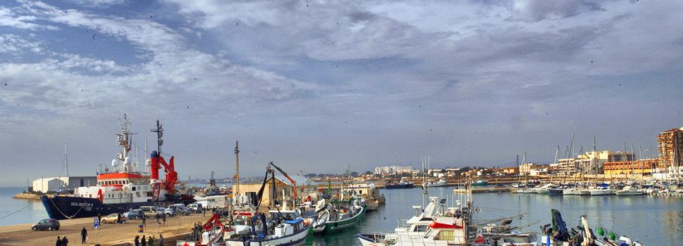 Europarlamentarios, en defensa de la pesca de arrastre española