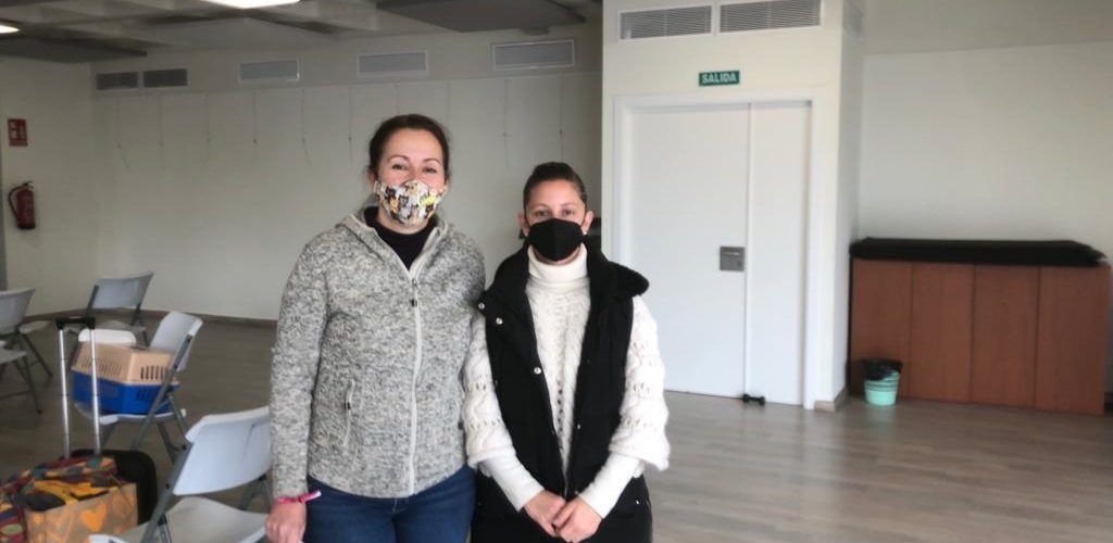 Alcalà-Alcossebre realitza una formació sobre el mètode CER i expedeix carnets per als gestors de les colònies de felins
