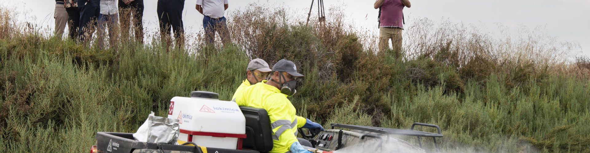 La Diputació convoca una reunió de coordinació amb els 135 ajuntaments i les noves adjudicatàries del millorat Pla Provincial Contra els Mosquits